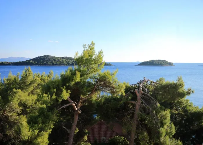 Apartments By The Sea Prizba, Korcula - 9276 Prizba